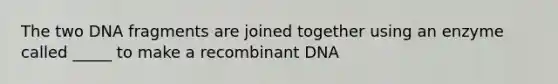 The two DNA fragments are joined together using an enzyme called _____ to make a recombinant DNA