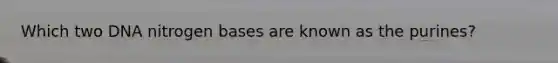 Which two DNA nitrogen bases are known as the purines?