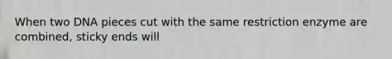 When two DNA pieces cut with the same restriction enzyme are combined, sticky ends will