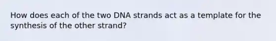 How does each of the two DNA strands act as a template for the synthesis of the other strand?