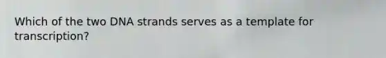 Which of the two DNA strands serves as a template for transcription?