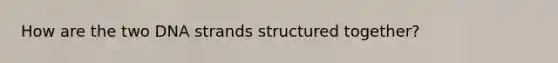 How are the two DNA strands structured together?