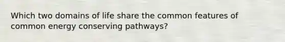 Which two domains of life share the common features of common energy conserving pathways?