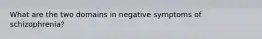 What are the two domains in negative symptoms of schizophrenia?