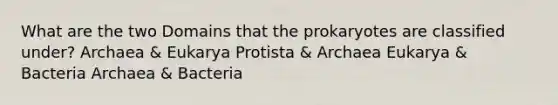 What are the two Domains that the prokaryotes are classified under? Archaea & Eukarya Protista & Archaea Eukarya & Bacteria Archaea & Bacteria