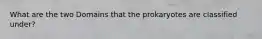 What are the two Domains that the prokaryotes are classified under?