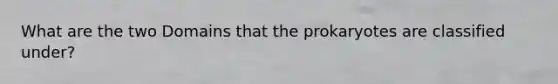 What are the two Domains that the prokaryotes are classified under?