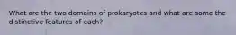 What are the two domains of prokaryotes and what are some the distinctive features of each?