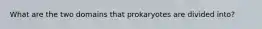 What are the two domains that prokaryotes are divided into?