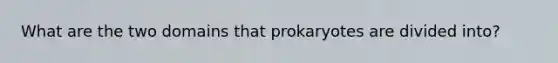 What are the two domains that prokaryotes are divided into?