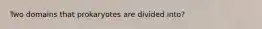 Two domains that prokaryotes are divided into?