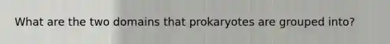 What are the two domains that prokaryotes are grouped into?