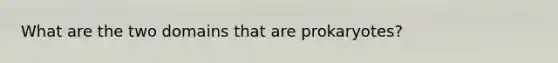 What are the two domains that are prokaryotes?