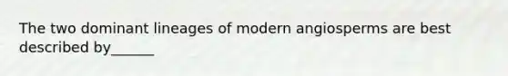 The two dominant lineages of modern angiosperms are best described by______