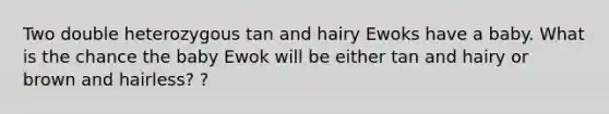 Two double heterozygous tan and hairy Ewoks have a baby. What is the chance the baby Ewok will be either tan and hairy or brown and hairless? ?