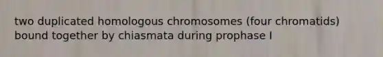 two duplicated homologous chromosomes (four chromatids) bound together by chiasmata during prophase I