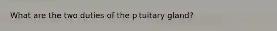 What are the two duties of the pituitary gland?