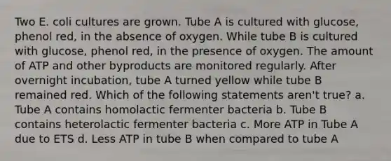 Two E. coli cultures are grown. Tube A is cultured with glucose, phenol red, in the absence of oxygen. While tube B is cultured with glucose, phenol red, in the presence of oxygen. The amount of ATP and other byproducts are monitored regularly. After overnight incubation, tube A turned yellow while tube B remained red. Which of the following statements aren't true? a. Tube A contains homolactic fermenter bacteria b. Tube B contains heterolactic fermenter bacteria c. More ATP in Tube A due to ETS d. Less ATP in tube B when compared to tube A