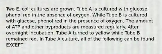 Two E. coli cultures are grown. Tube A is cultured with glucose, phenol red in the absence of oxygen. While Tube B is cultured with glucose, phenol red in the presence of oxygen. The amount of ATP and other byproducts are measured regularly. After overnight incubation, Tube A turned to yellow while Tube B remained red. In Tube A culture, all of the following can be found EXCEPT