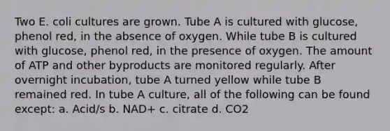 Two E. coli cultures are grown. Tube A is cultured with glucose, phenol red, in the absence of oxygen. While tube B is cultured with glucose, phenol red, in the presence of oxygen. The amount of ATP and other byproducts are monitored regularly. After overnight incubation, tube A turned yellow while tube B remained red. In tube A culture, all of the following can be found except: a. Acid/s b. NAD+ c. citrate d. CO2