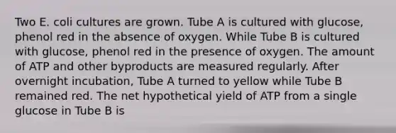 Two E. coli cultures are grown. Tube A is cultured with glucose, phenol red in the absence of oxygen. While Tube B is cultured with glucose, phenol red in the presence of oxygen. The amount of ATP and other byproducts are measured regularly. After overnight incubation, Tube A turned to yellow while Tube B remained red. The net hypothetical yield of ATP from a single glucose in Tube B is