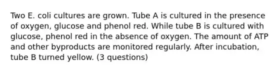 Two E. coli cultures are grown. Tube A is cultured in the presence of oxygen, glucose and phenol red. While tube B is cultured with glucose, phenol red in the absence of oxygen. The amount of ATP and other byproducts are monitored regularly. After incubation, tube B turned yellow. (3 questions)