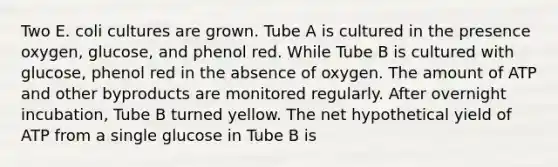 Two E. coli cultures are grown. Tube A is cultured in the presence oxygen, glucose, and phenol red. While Tube B is cultured with glucose, phenol red in the absence of oxygen. The amount of ATP and other byproducts are monitored regularly. After overnight incubation, Tube B turned yellow. The net hypothetical yield of ATP from a single glucose in Tube B is