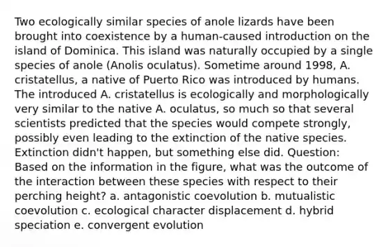 Two ecologically similar species of anole lizards have been brought into coexistence by a human-caused introduction on the island of Dominica. This island was naturally occupied by a single species of anole (Anolis oculatus). Sometime around 1998, A. cristatellus, a native of Puerto Rico was introduced by humans. The introduced A. cristatellus is ecologically and morphologically very similar to the native A. oculatus, so much so that several scientists predicted that the species would compete strongly, possibly even leading to the extinction of the native species. Extinction didn't happen, but something else did. Question: Based on the information in the figure, what was the outcome of the interaction between these species with respect to their perching height? a. antagonistic coevolution b. mutualistic coevolution c. ecological character displacement d. hybrid speciation e. convergent evolution