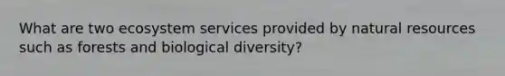 What are two ecosystem services provided by natural resources such as forests and biological diversity?