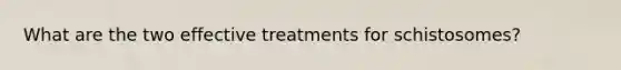 What are the two effective treatments for schistosomes?