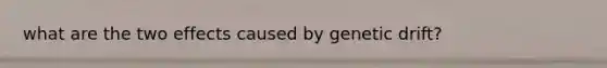what are the two effects caused by genetic drift?
