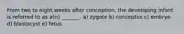From two to eight weeks after conception, the developing infant is referred to as a(n) _______. a) zygote b) conceptus c) embryo d) blastocyst e) fetus