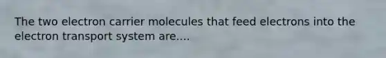 The two electron carrier molecules that feed electrons into the electron transport system are....