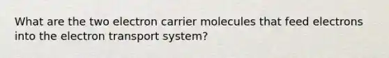 What are the two electron carrier molecules that feed electrons into the <a href='https://www.questionai.com/knowledge/kbvjAonm6A-electron-transport-system' class='anchor-knowledge'>electron transport system</a>?