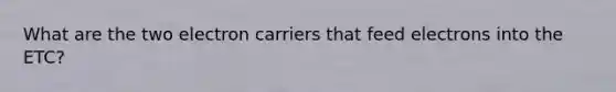 What are the two electron carriers that feed electrons into the ETC?