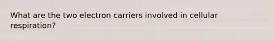 What are the two electron carriers involved in cellular respiration?