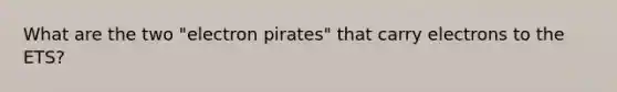 What are the two "electron pirates" that carry electrons to the ETS?