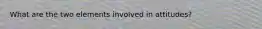 What are the two elements involved in attitudes?
