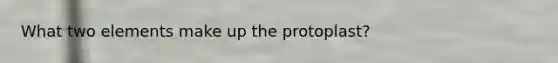 What two elements make up the protoplast?