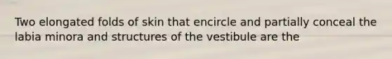 Two elongated folds of skin that encircle and partially conceal the labia minora and structures of the vestibule are the