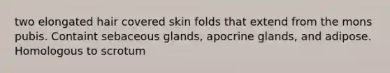 two elongated hair covered skin folds that extend from the mons pubis. Containt sebaceous glands, apocrine glands, and adipose. Homologous to scrotum