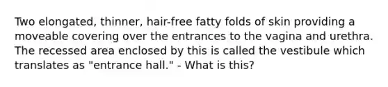 Two elongated, thinner, hair-free fatty folds of skin providing a moveable covering over the entrances to the vagina and urethra. The recessed area enclosed by this is called the vestibule which translates as "entrance hall." - What is this?