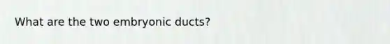 What are the two embryonic ducts?