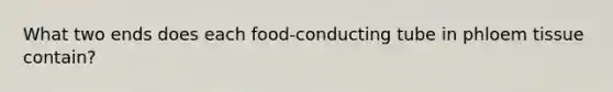 What two ends does each food-conducting tube in phloem tissue contain?