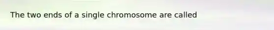 The two ends of a single chromosome are called