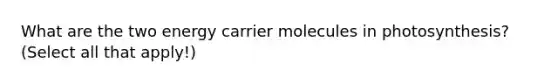 What are the two energy carrier molecules in photosynthesis? (Select all that apply!)