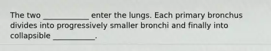 The two ____________ enter the lungs. Each primary bronchus divides into progressively smaller bronchi and finally into collapsible ___________.