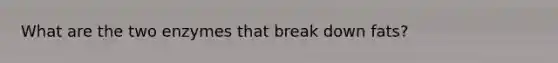 What are the two enzymes that break down fats?