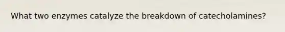 What two enzymes catalyze the breakdown of catecholamines?