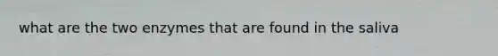 what are the two enzymes that are found in the saliva